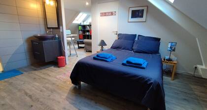 Les nichoirs - 60m² room in Vouvray - bathroom and separate toilet