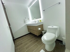 Chuveiro, secador de cabelo, toalhas de banho, sabonete