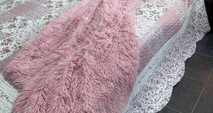 Room-little Cottage at Maroubra