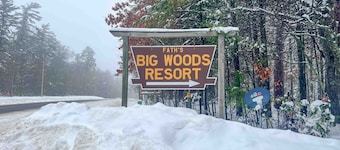 Lakeview cabin with dock access, kayaks, row boat, firepit & year-round fun