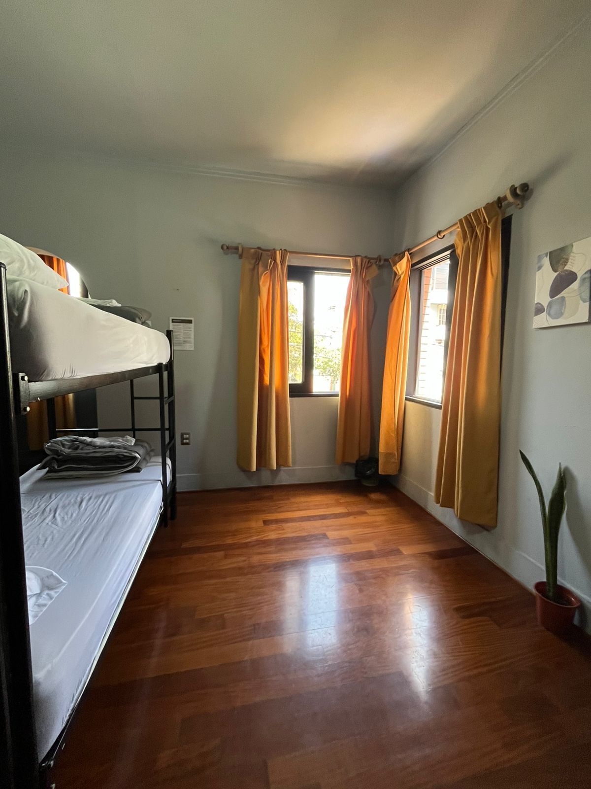 スタンダード 共同ドミトリー 男女共用ドミトリー | WiFi (無料)