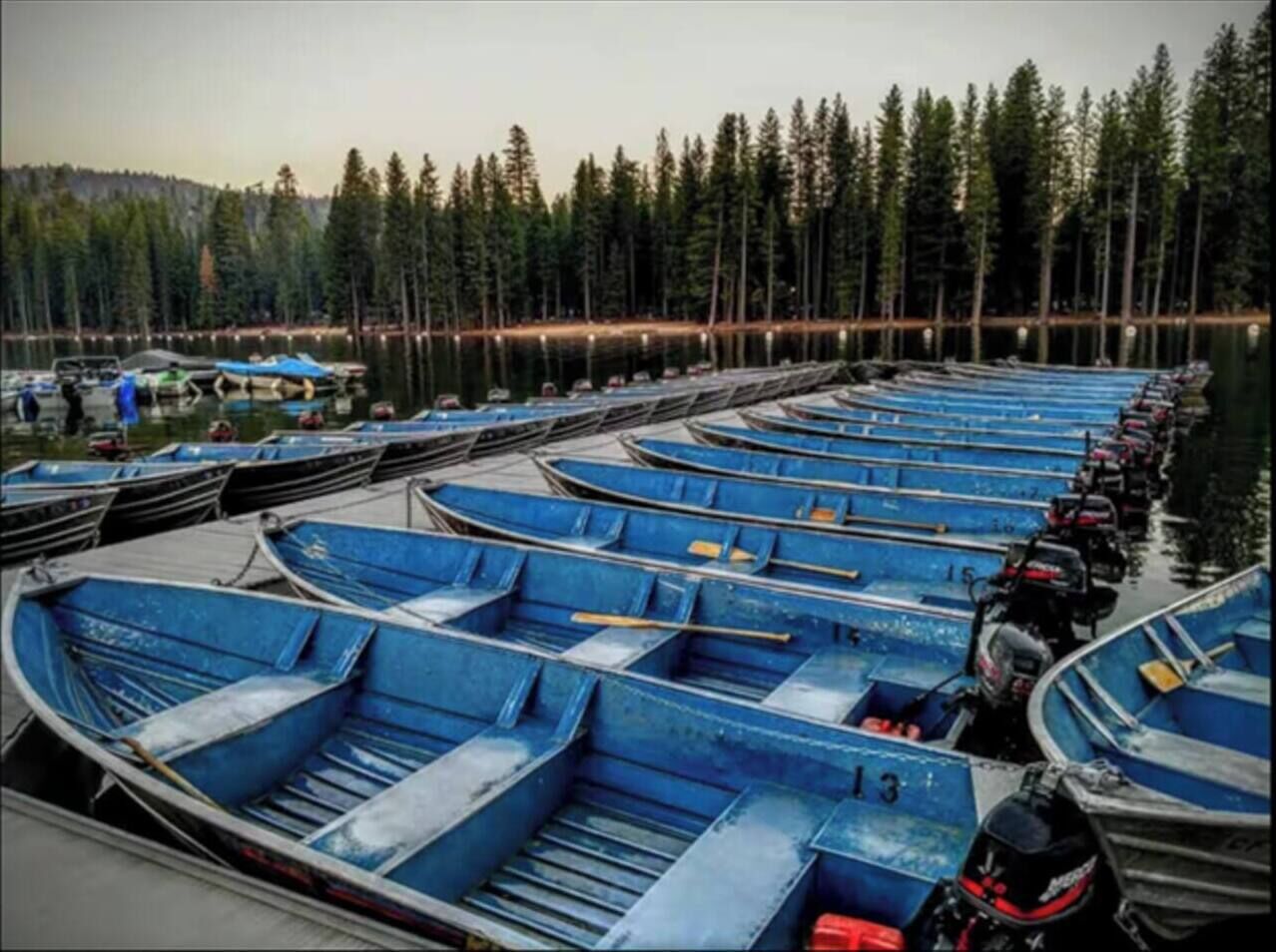 Una hilera de botes azules amarrados a un muelle, con un bosque al fondo.