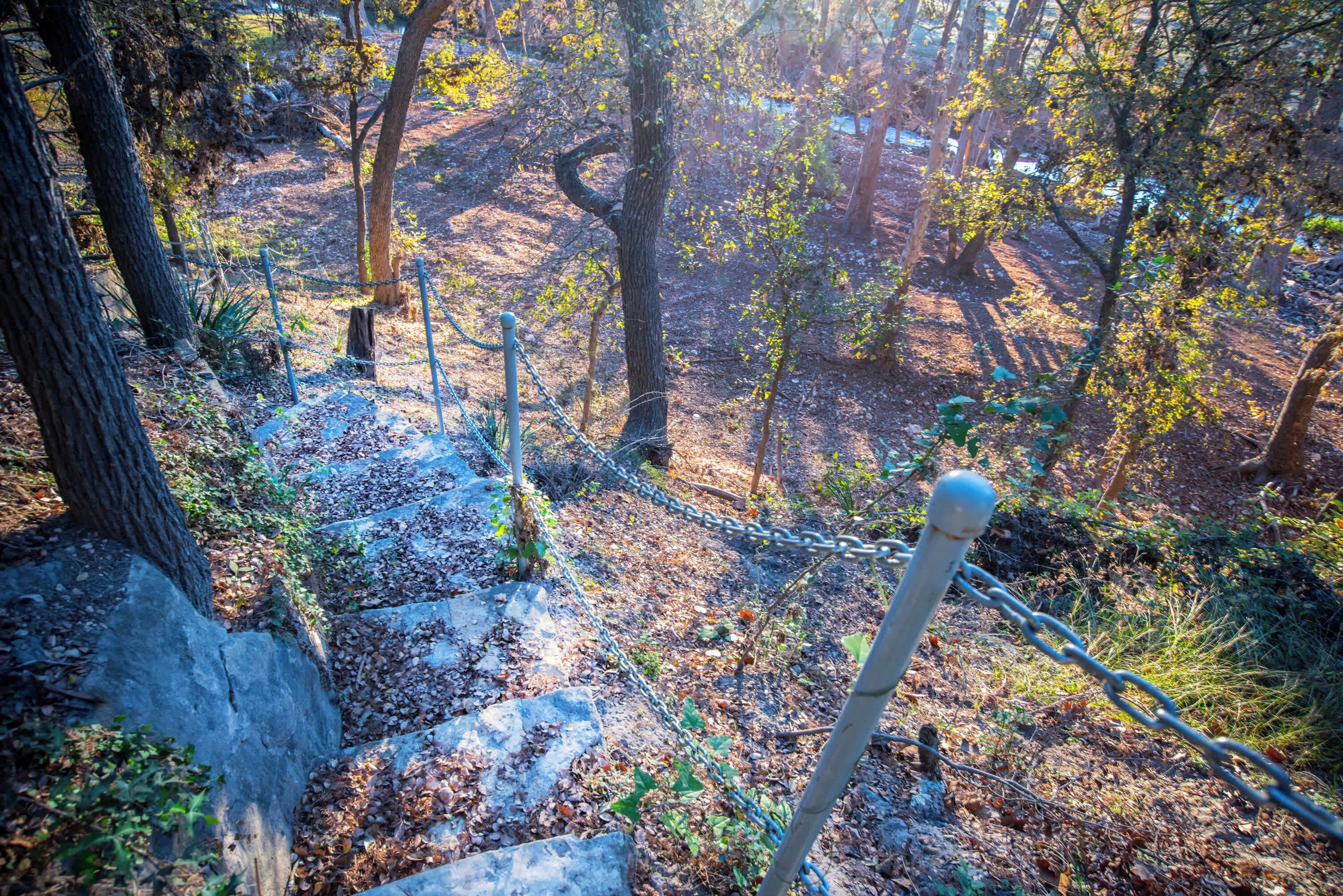 Uma área arborizada com uma escadaria de pedra e cerca de arame.