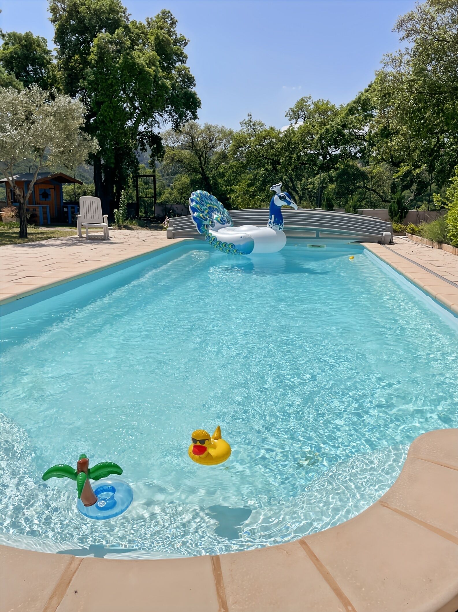 A swimming pool with a peacock float and a duck float.