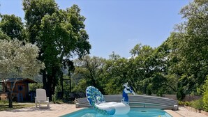Ein Swimmingpool mit Schwimmreifen in Form eines Pfaues und einer Ente.