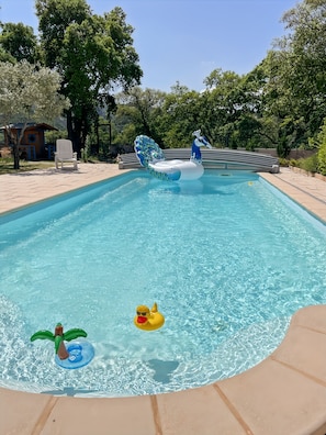 Ein Swimmingpool mit Schwimmreifen in Form eines Pfaues und einer Ente.
