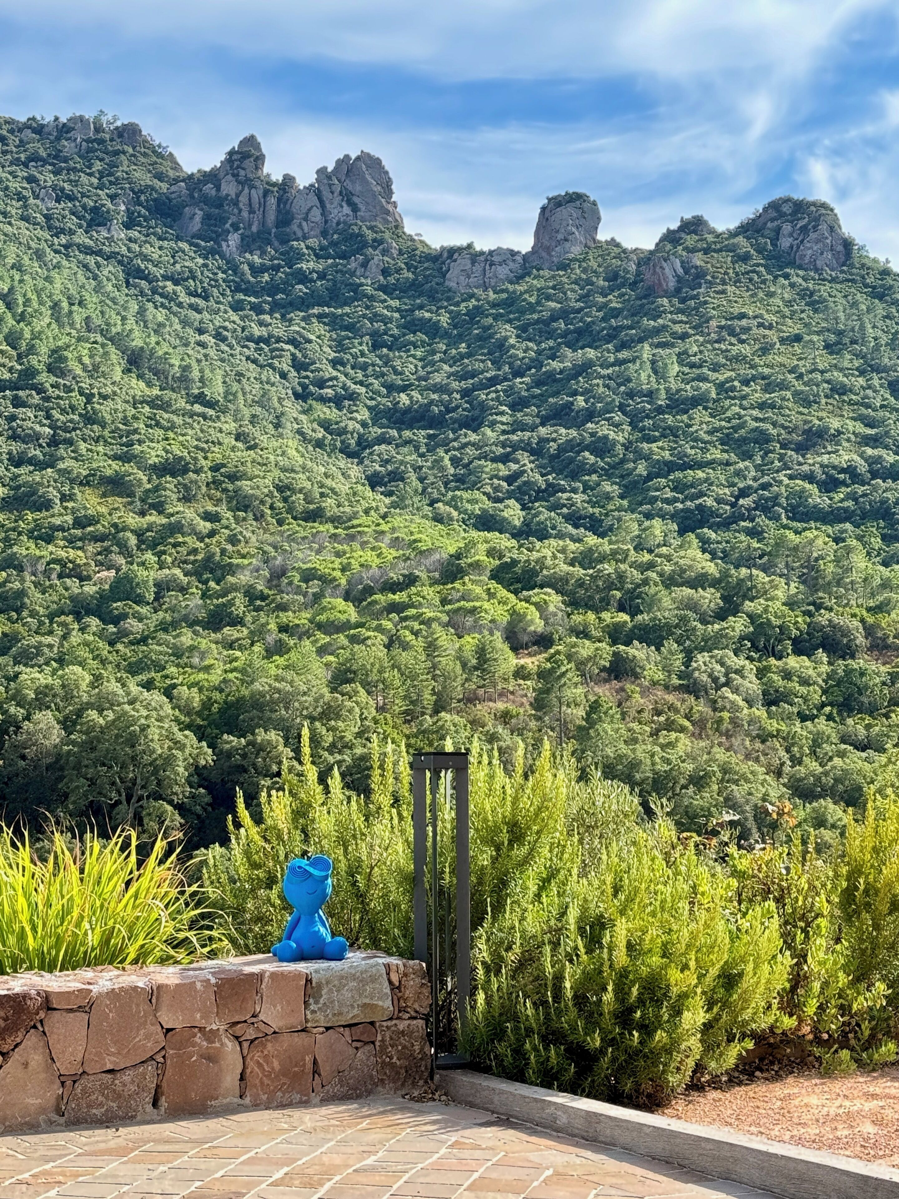 Een stenen muur met een blauw sculptuur en een metalen poort, die uitkomt op een weelderig groen landschap met rotsachtige uitstekenissen.