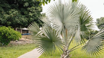 Área da propriedade