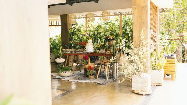 A room with a wooden table surrounded by potted plants and a white cake.