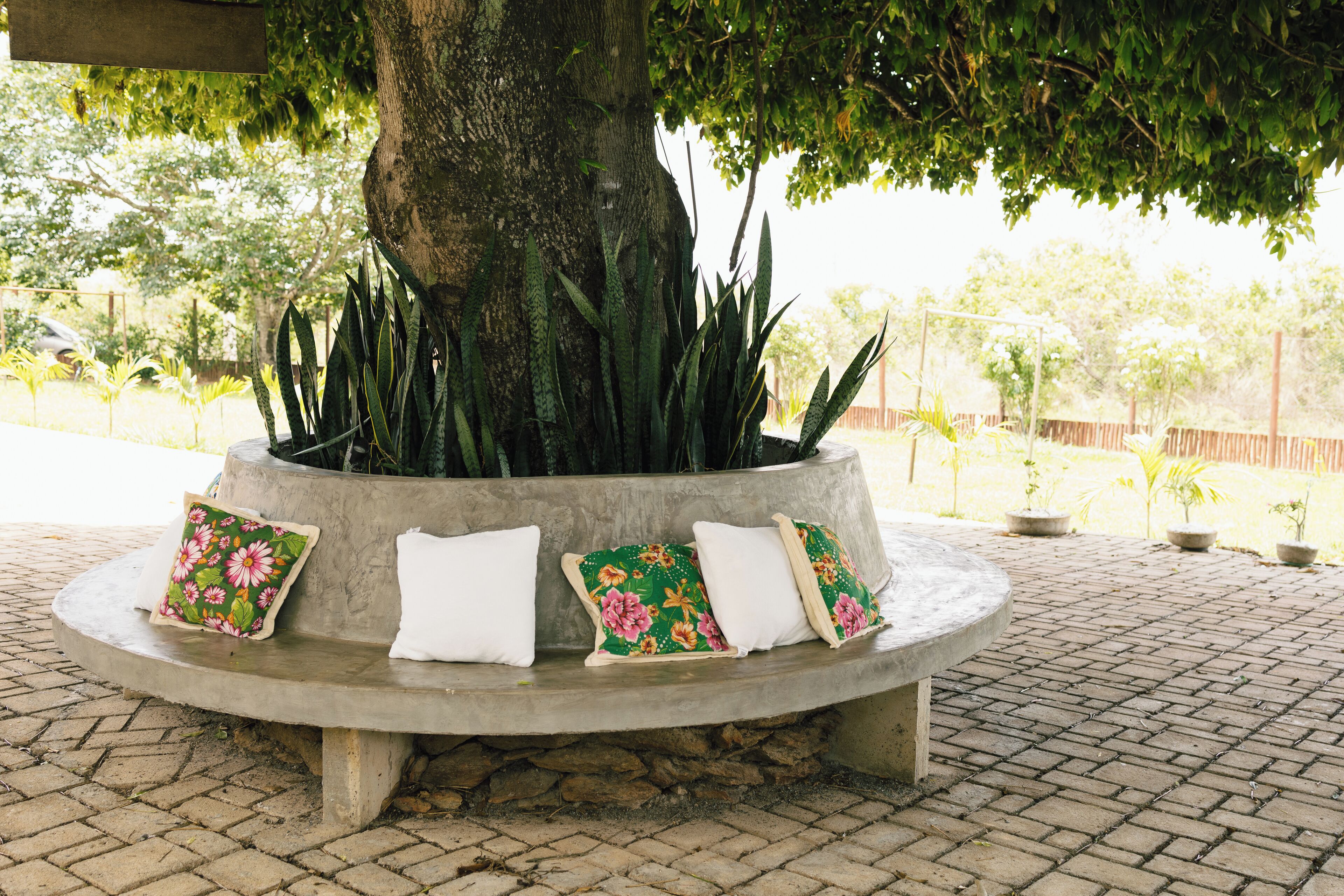 A round stone bench with three cushions under a tree.