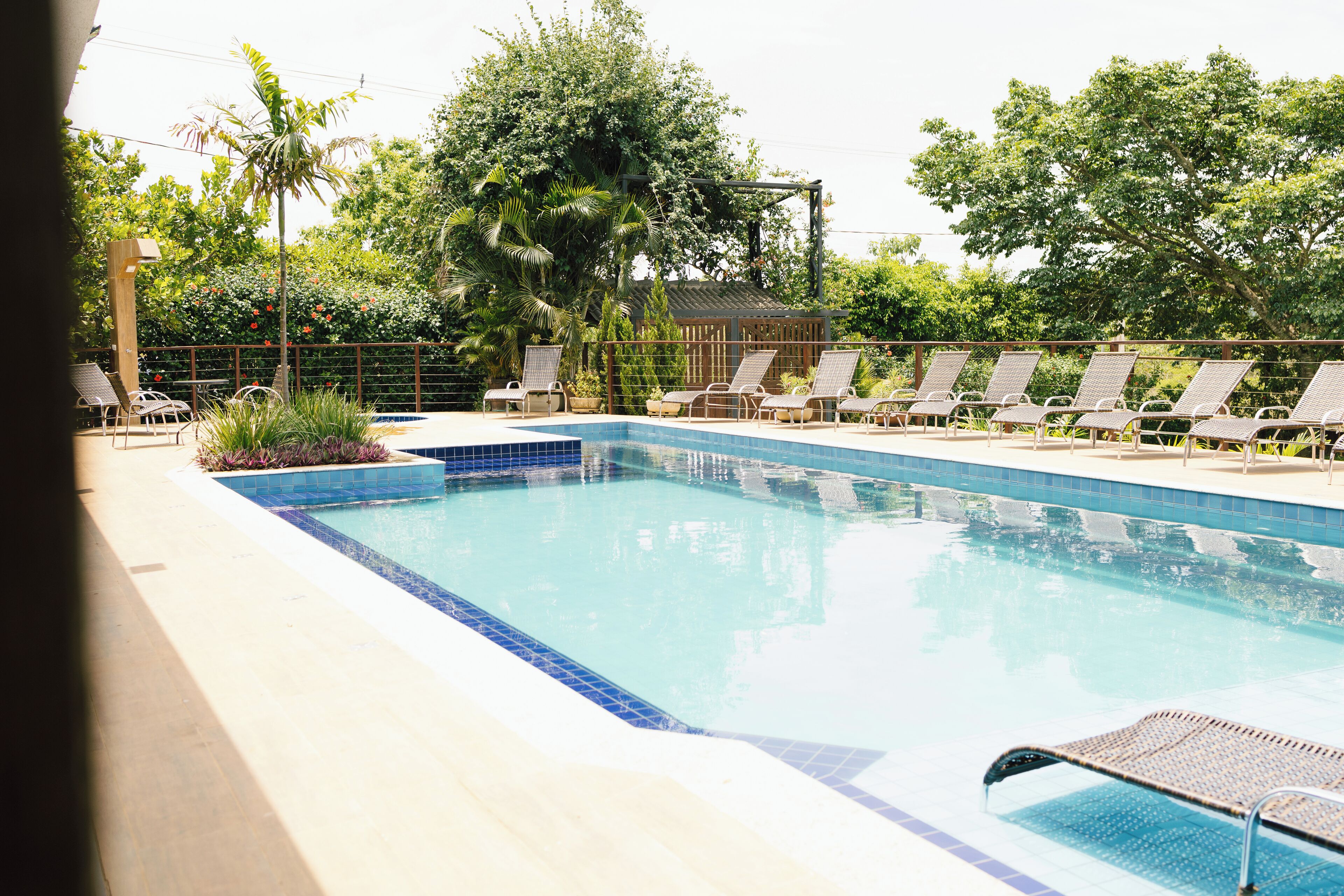Une piscine rectangulaire dont le bord est recouvert de carreaux, entourée de chaises longues et de plantes en pot.