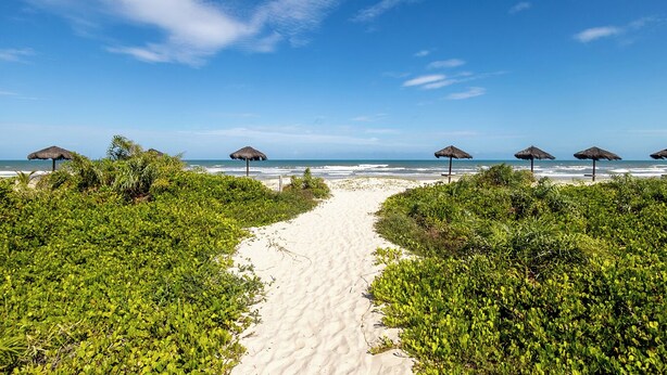 Uma trilha na praia com guarda-sóis de palha e vegetação exuberante.
