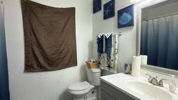 Serviettes fournies, savon, papier toilette