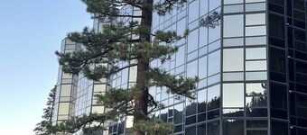 Palisades Tahoe Slopeside Skiing! - Everline Resort 2 Queen with Valley Views!