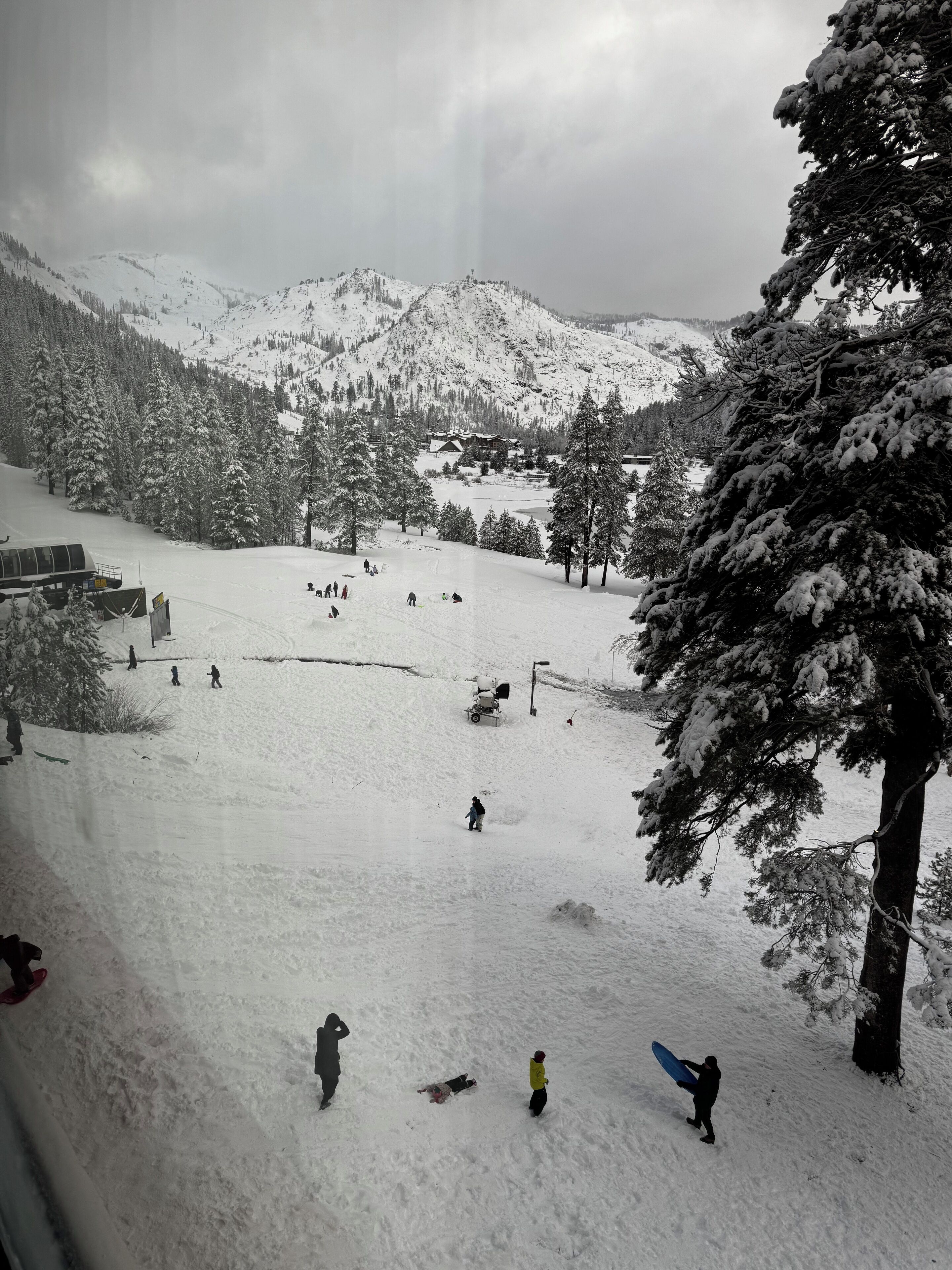 Lumi- ja hiihtourheilulajit