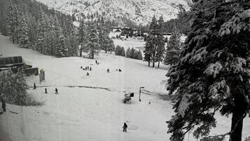 Lumi- ja hiihtourheilulajit