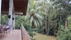 A covered outdoor area with a hammock, a wooden deck, and dense tropical vegetation including palm trees. - Hotel Rio Maria (La Ceiba)