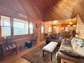 TV, fireplace, books - Mountain Views + Hot Tub + Firepit (Boone)