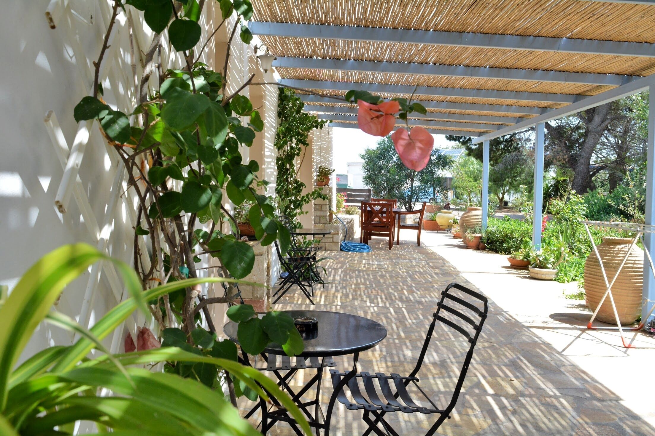 Standard Studio, Garden View | Outdoor dining