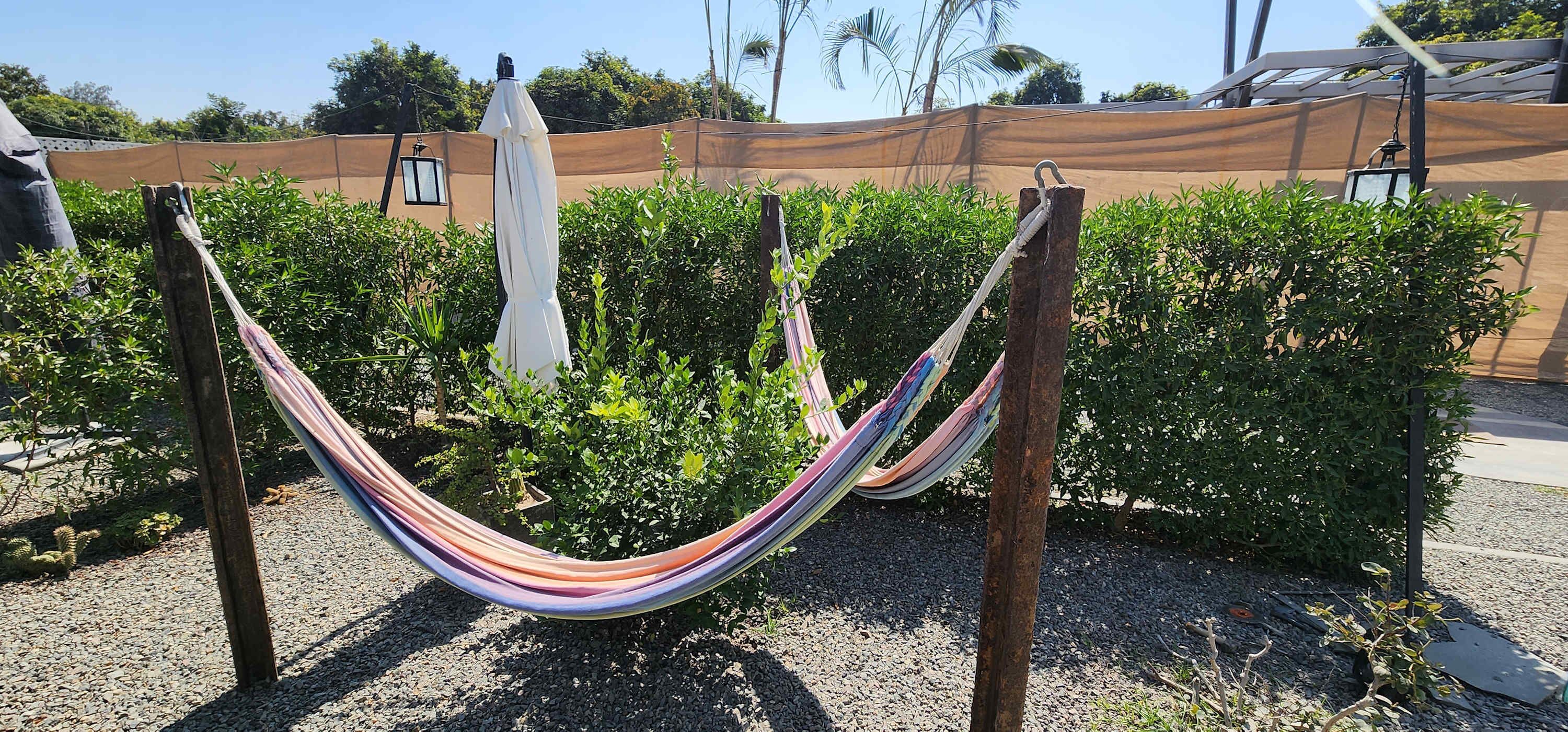 A hammock between two wooden posts in a garden area with green bushes and a brown fence in the background.