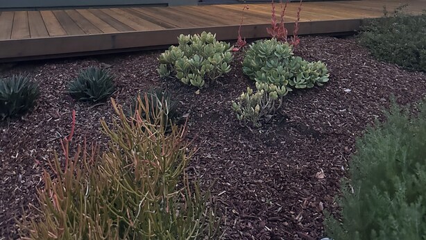 Un edifici modern amb un teulat inclinat, una terrassa de fusta i un jardí ben cuidat amb diverses plantes.