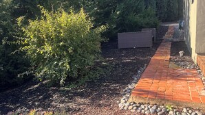 Un camí al jardí amb mulç, un marc de maons i diferents plantes i arbres.