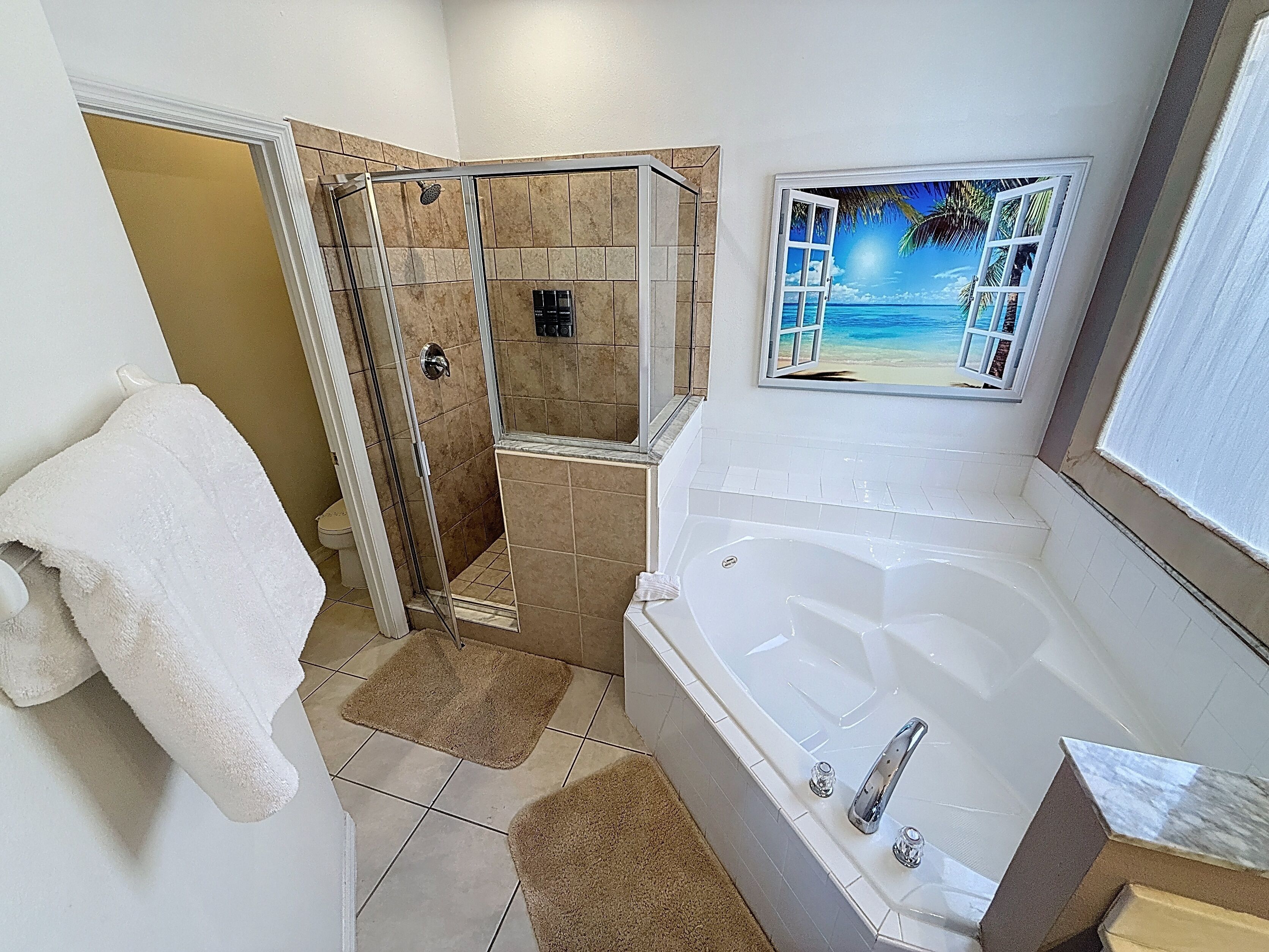 Hair dryer, towels, soap, shampoo