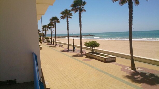 Een boulevard aan het strand met palmbomen en uitzicht op de oceaan.