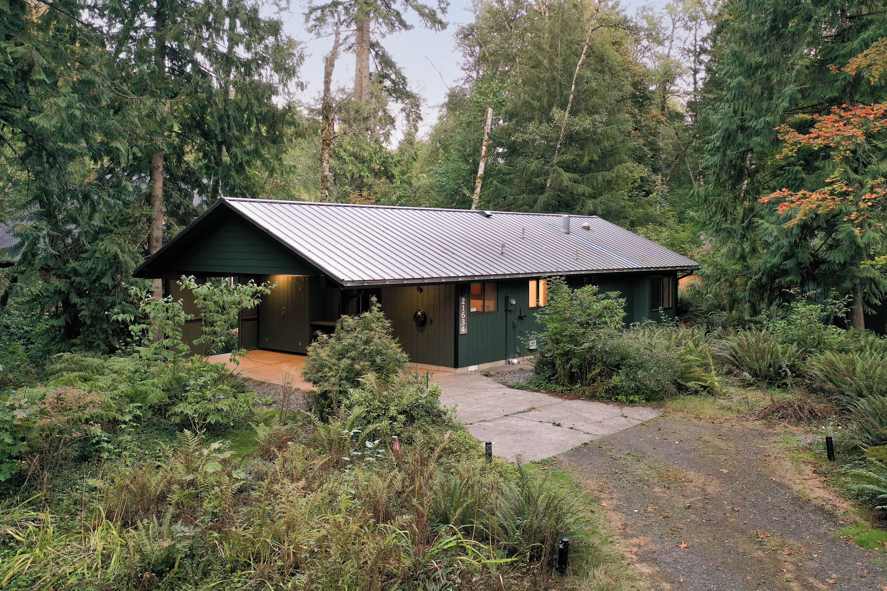 A cabin with a metal roof, surrounded by dense forest and a gravel path leading to the entrance.