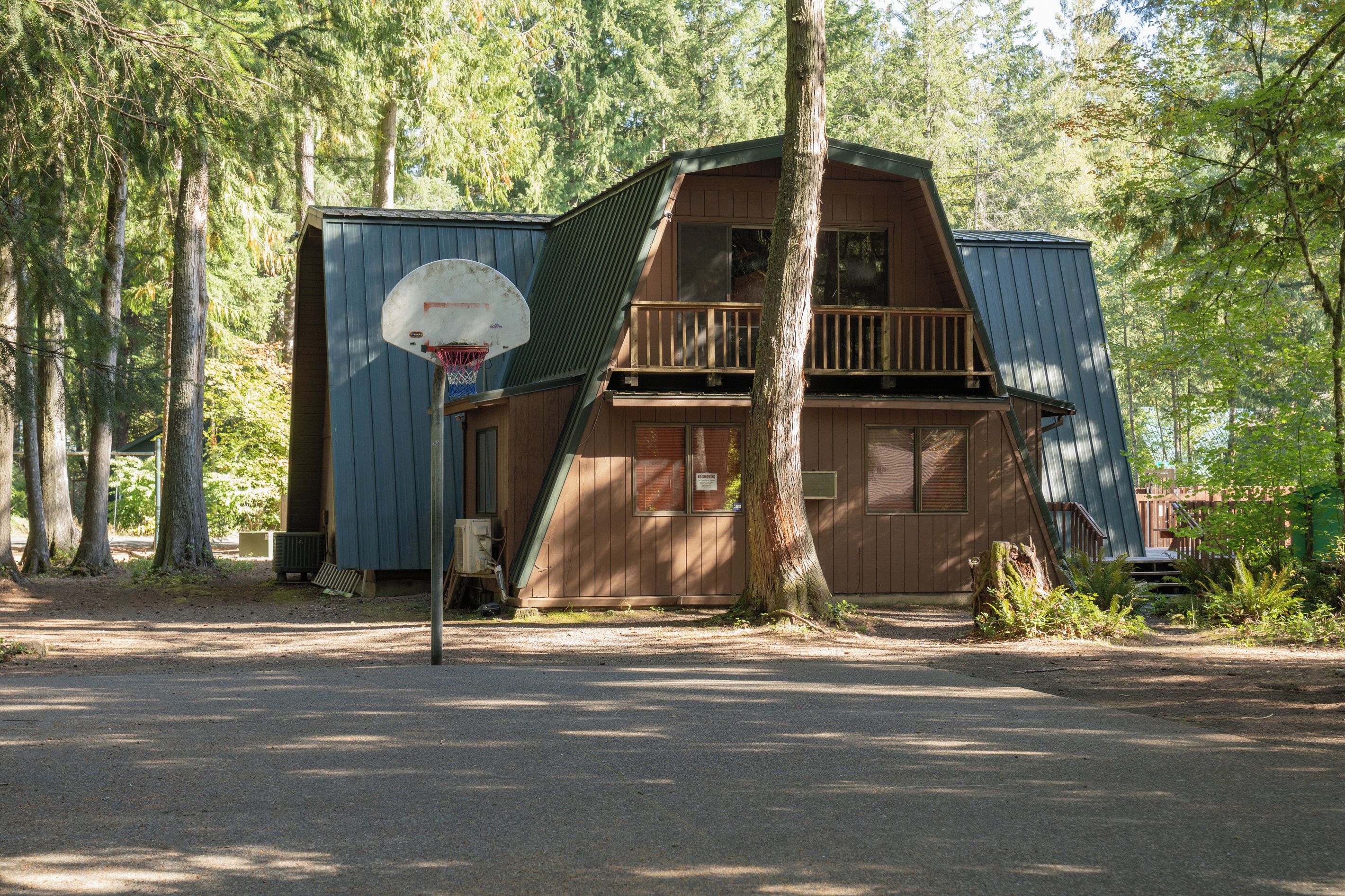 A rustic cabin with a basketball hoop, surrounded by tall trees.