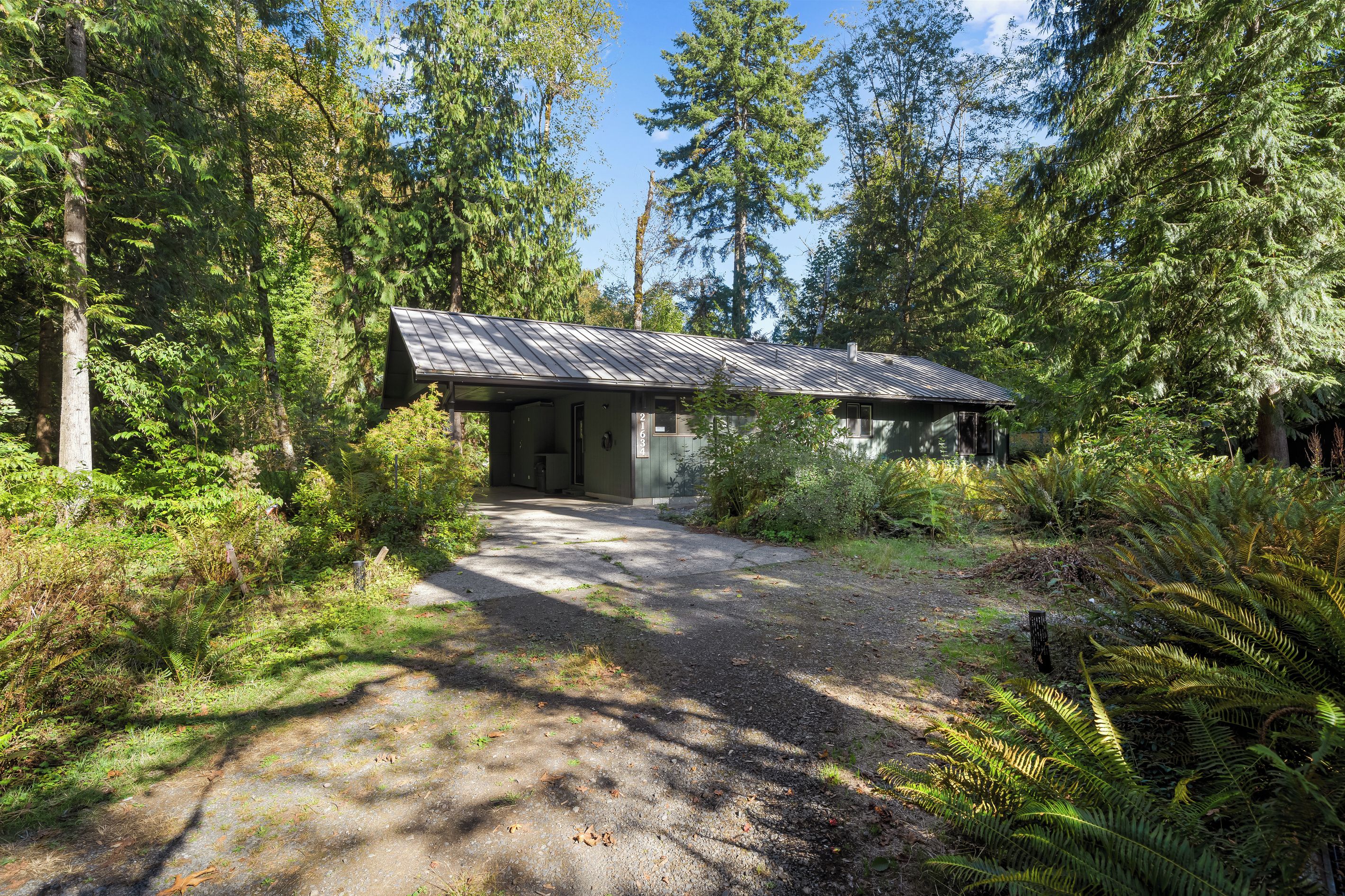 Down a private driveway and wrapped in ferns — Creekside Hideaway lives up to its name.
