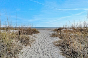 Ein sandiger Küstenpfad führt zum Meer, gesäumt von hohem Gras.