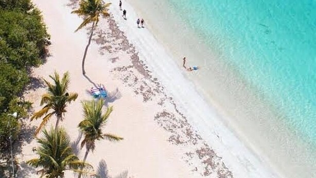 Ein Strand mit klarem türkisblauem Wasser, Palmen und einigen Personen, die am Ufer entlanggehen.