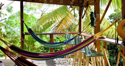Finca Kiâ · Sol Room âą El Yunque Region âą B&B