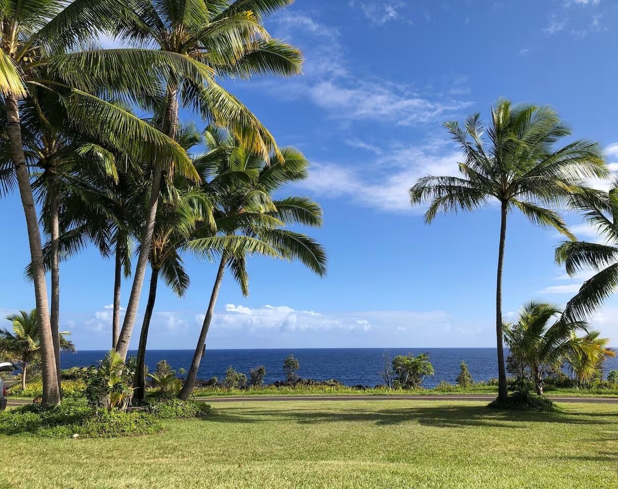 Un paisaje tropical con palmeras y vista al océano.