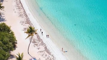 A beach with clear turquoise water, palm trees, and a few people walking along the shore.