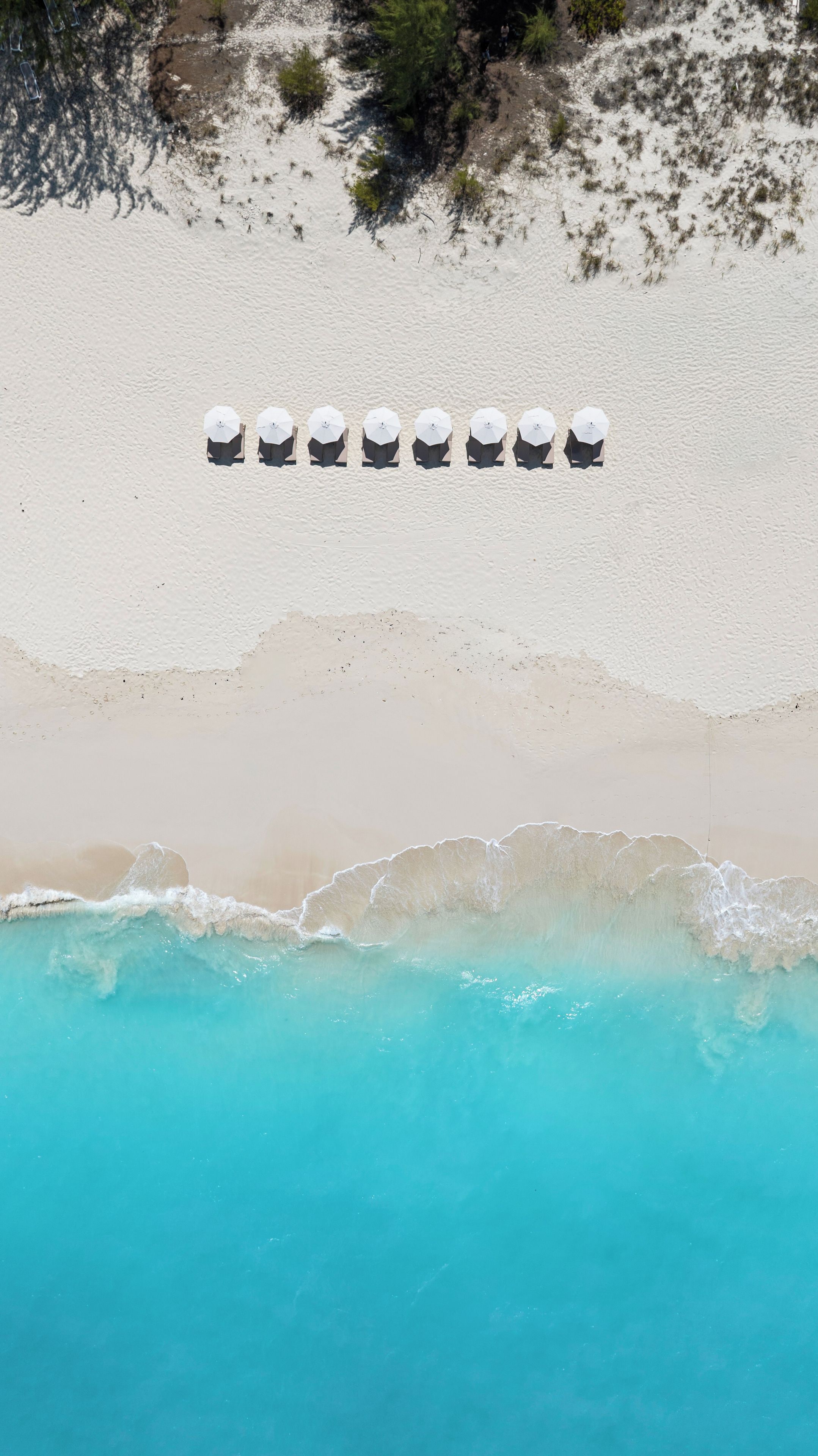 Vue aérienne d’une plage où une rangée de parasols blancs est alignée parallèlement au rivage.