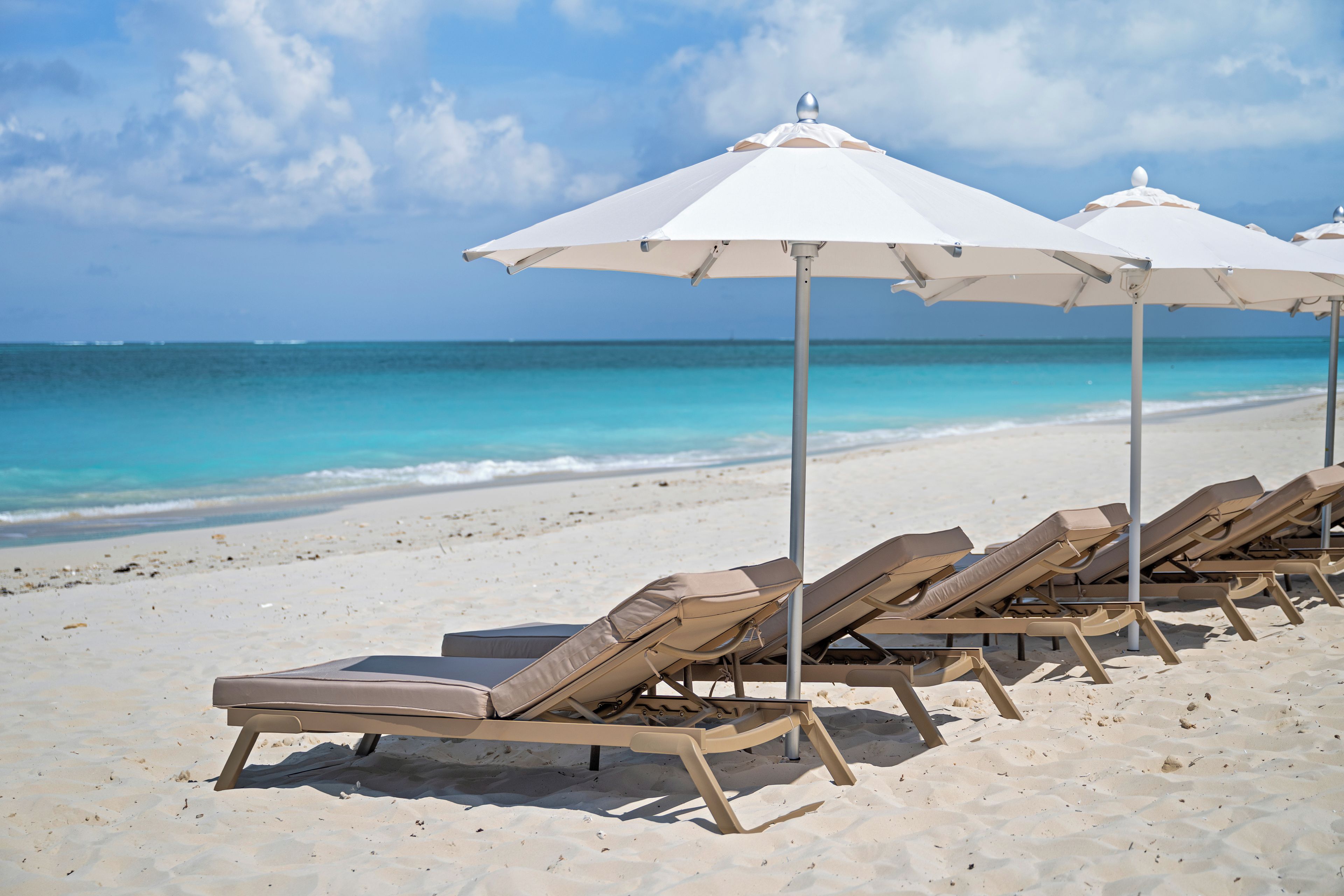A beach with rows of sun loungers and umbrellas.
