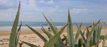 VERY NICE RENOVATED APARTMENT ONLY 50 METERS FROM THE BEACH!