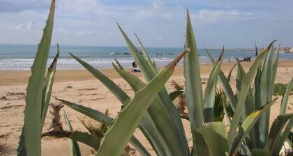 VERY NICE RENOVATED APARTMENT ONLY 50 METERS FROM THE BEACH!