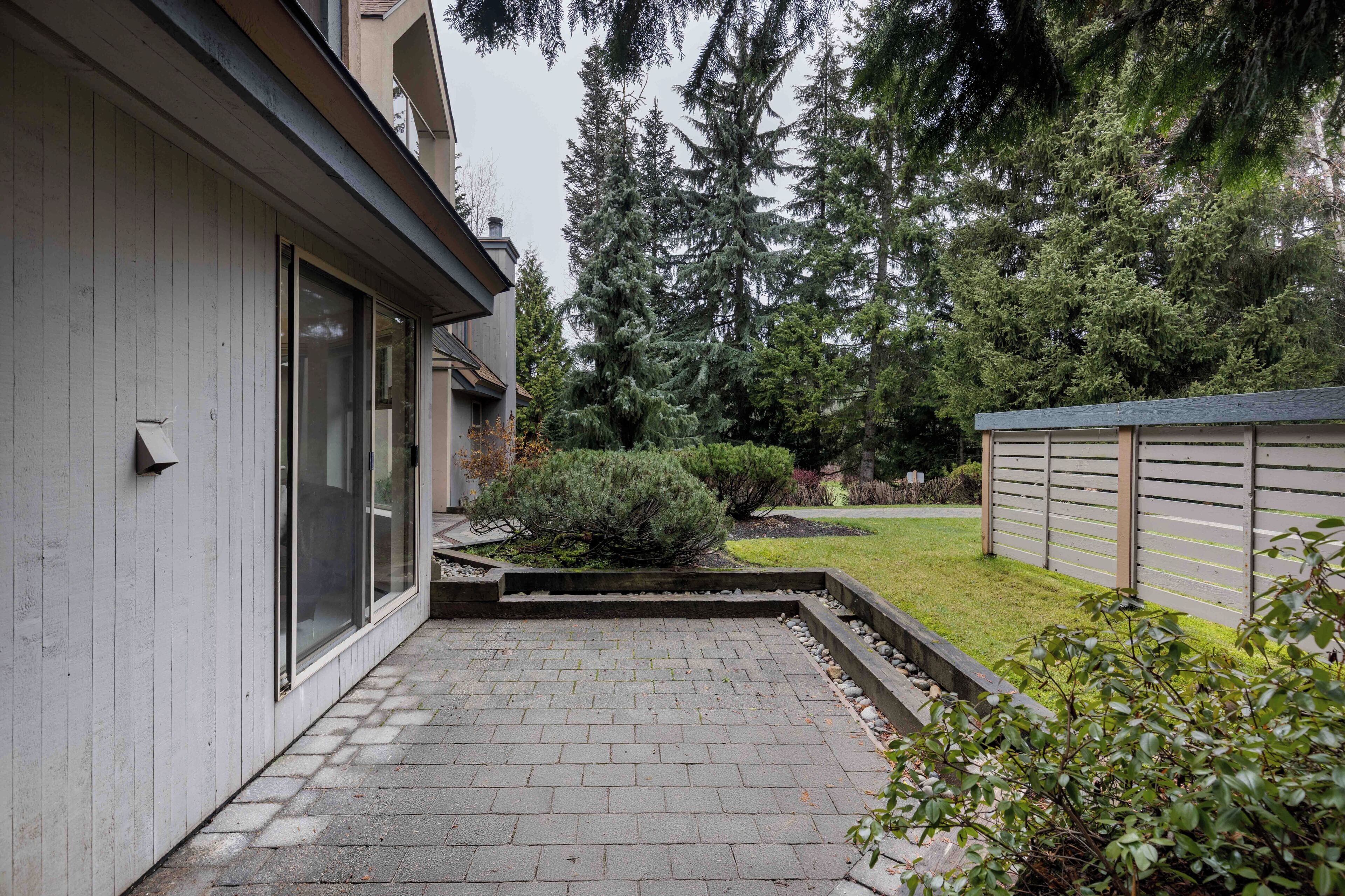 A paved patio area with a wooden fence, a small bush, and tall trees in the background.
