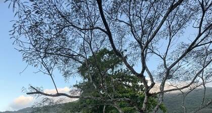 LOFTS ILHA GRANDE
