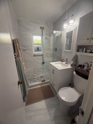 Shower, hair dryer, towels, toilet paper -  NEW RENTAL. Cozy 2 Bedroom House in N Pacific  
Beach, 3 blocks to the beach!!! (San Diego)