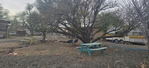 Outdoor dining - Cozy 2-bedroom cabin on a working mini farm in San Fidel with AC on old route 66 (San Fidel)