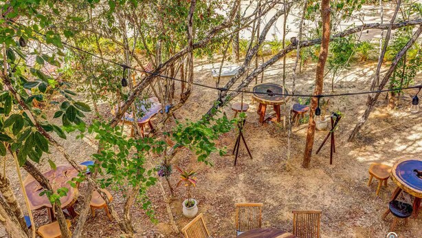 Un espace extérieur aménagé avec des tables et des chaises en bois, entouré d’arbres et délimité par une barrière en corde.