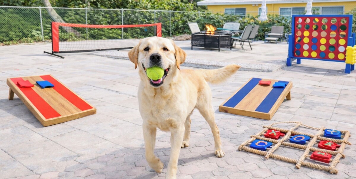 Imagen de perfil del propietario o de la propietaria