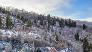 Apartment, Balcony | Miscellaneous