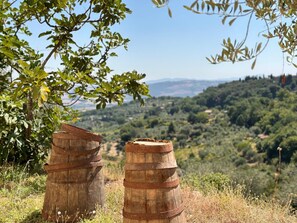 Miscellaneous - Apartment with a view in montalcino (Toscana)