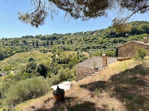 Miscellaneous - Apartment with a view in montalcino (Toscana)