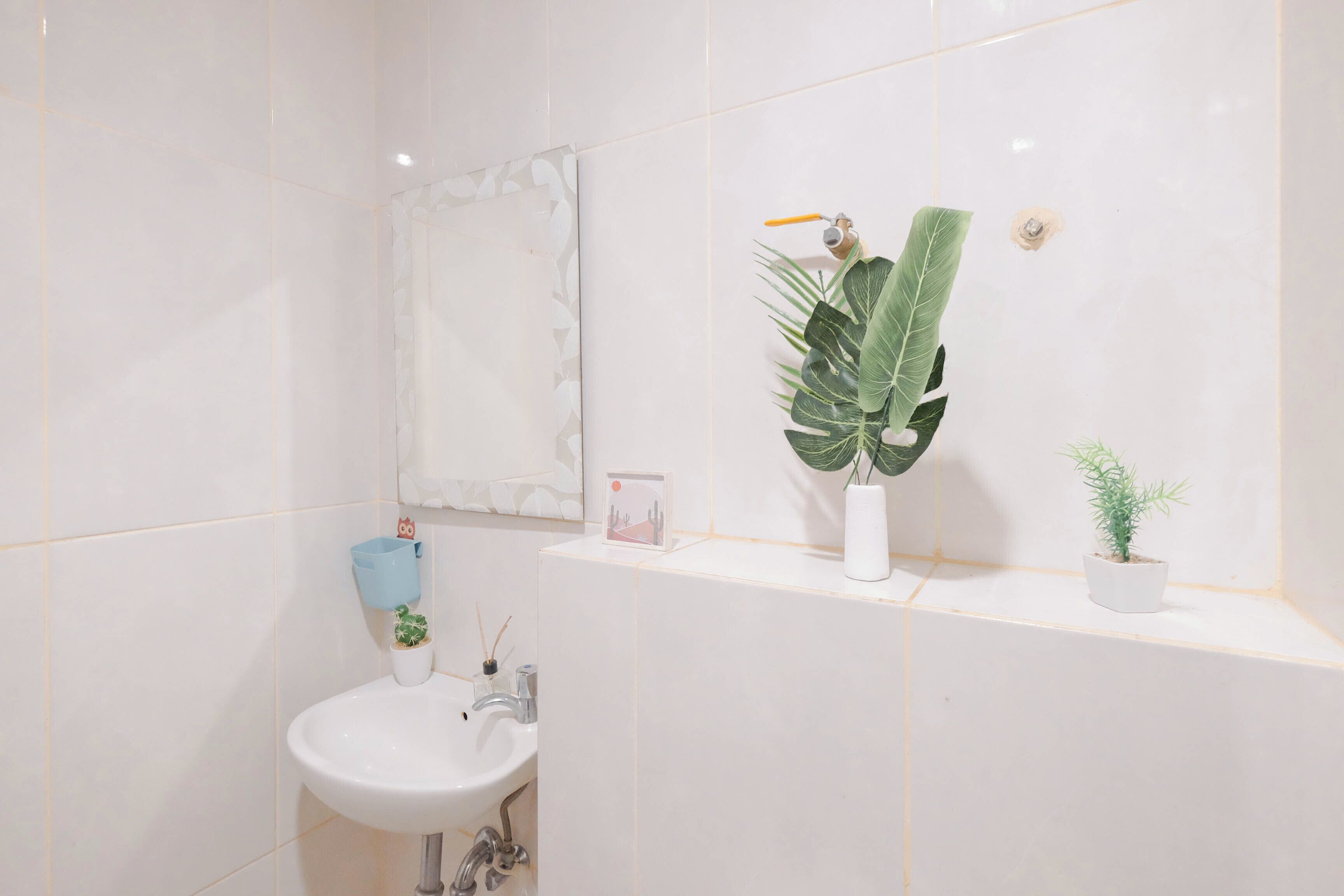 Ein Badezimmer mit einem weißen Waschbecken, einem Spiegel und Regalen mit Topfpflanzen.
